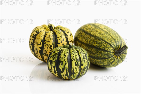 Spaghetti Squash and Chameleon Pumpkins