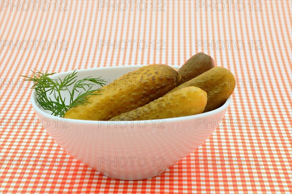 Gherkins in a white porcelain bowl