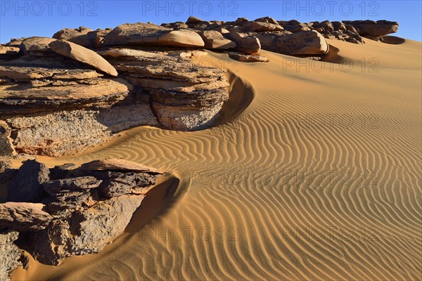 Bicoloured Dunes Noires