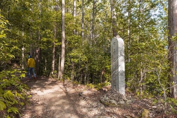 Young man on hiking trail