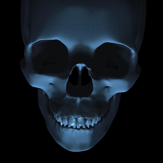 Creepy skull