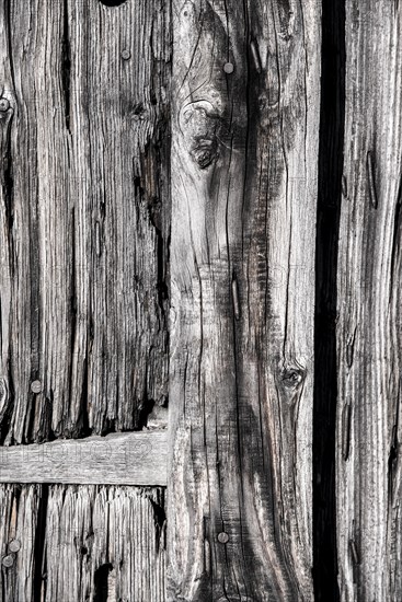 Wood grain in detail