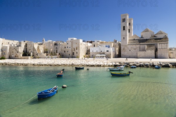 Fishing boats in the harbor