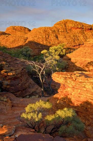 Kings Canyon