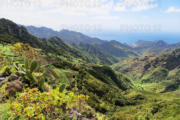 View of Anaga Mountains