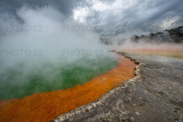 Champagne Pool