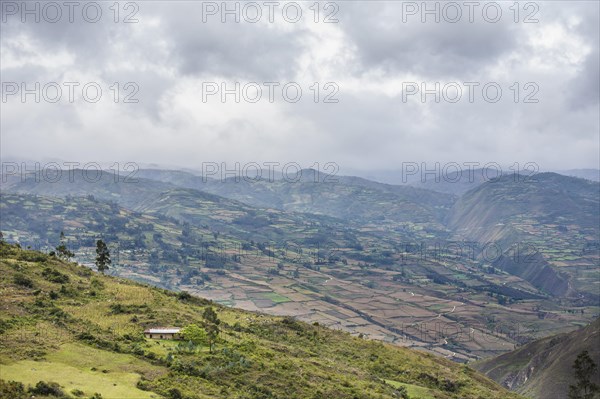 Agricultural land