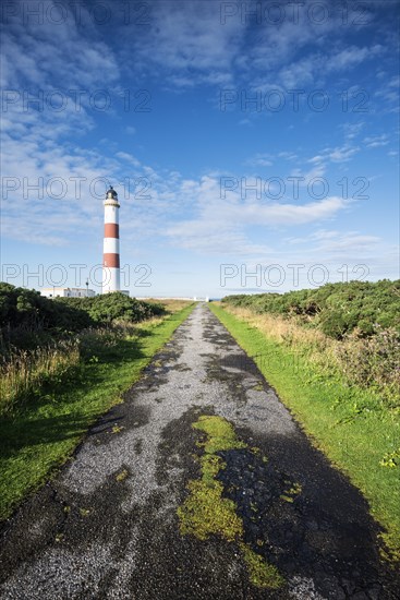 Paved road leading to the Tarbat Ness lighthouse on the Moray Firth