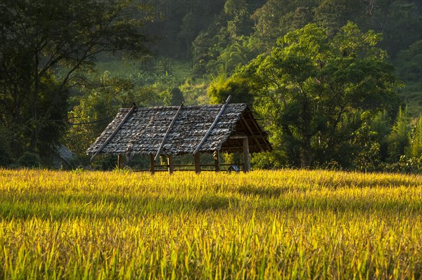 Sun shelter