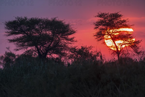 Sunset on the Kwando River