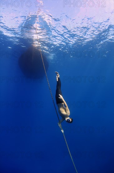 Freediver