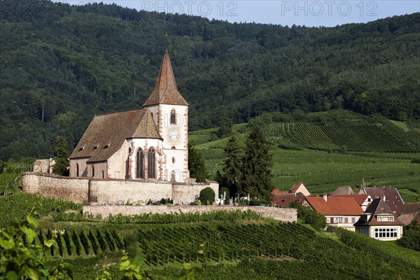 Gothic fortified church of Saint-Jacques in the vineyards