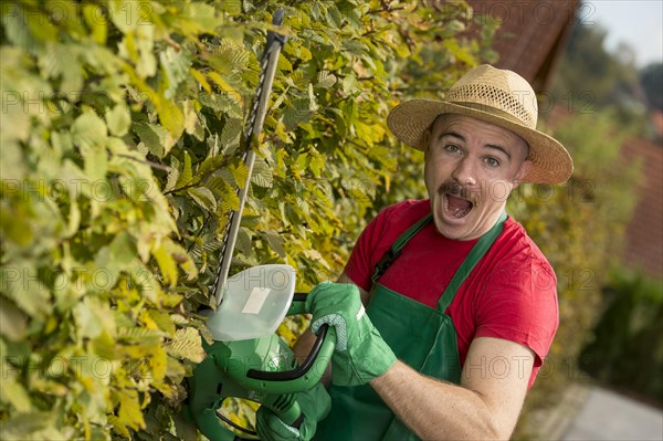 Gardener using a hedge trimmer