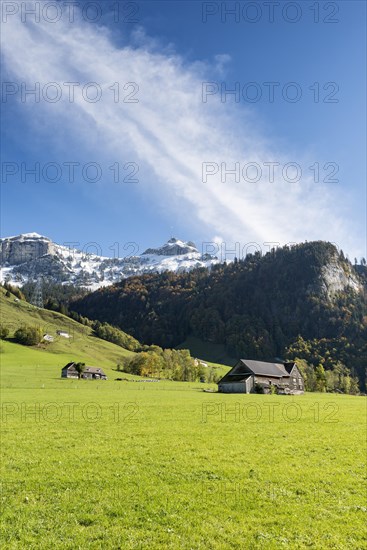 View over a pasture to the snow-capped Appenzell Alps