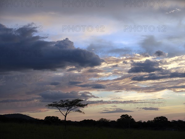 Evening sky at dusk in the Ricon de la Vieja National Park