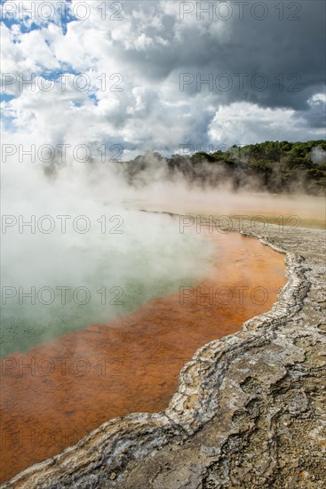 Champagne Pool