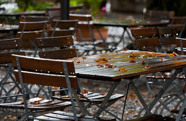 Autumn in the Paulaner beer garden at Nockherberg in Munich