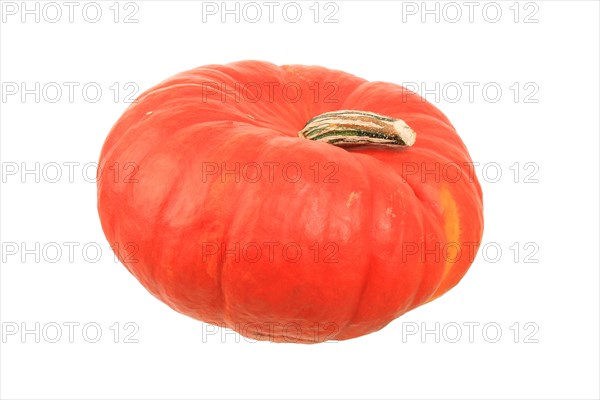 Squash