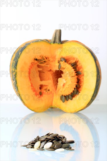 Styrian Oil Pumpkin