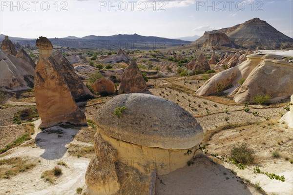 Fairy chimneys