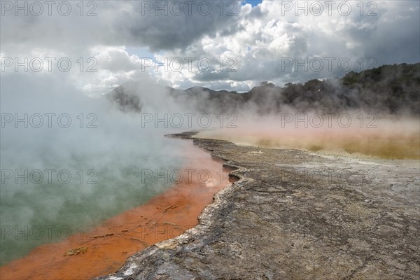 Champagne Pool