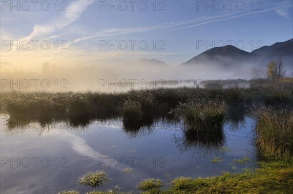 Sunrise over moorland