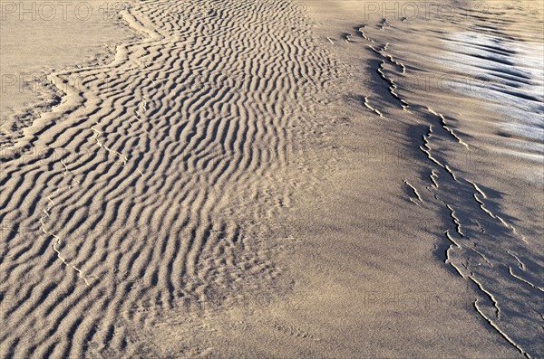 Frozen sandy soil