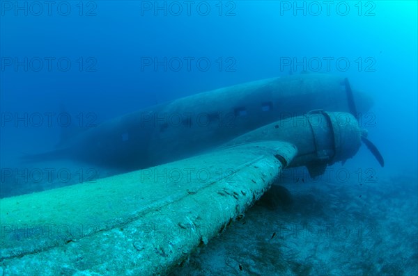 Plane wreck Douglas DC-3 'Dakota'