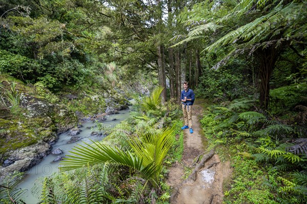 Hiker on their way to Piroa Waterfall