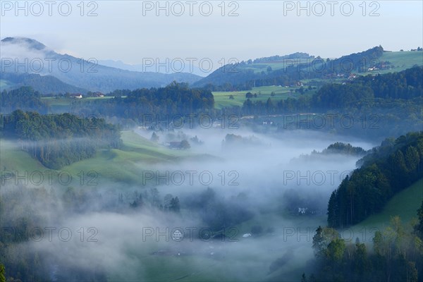 Misty landscape in autumn