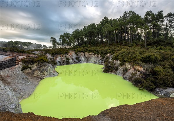 Green Devil's Bath thermal lake in Wai-O-Tapu thermal area