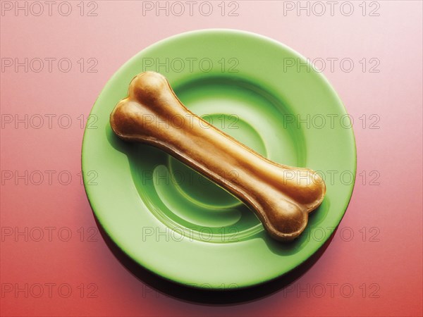 Dog bone on a green plate