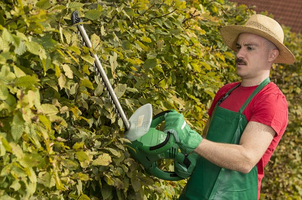 Gardener using a hedge trimmer