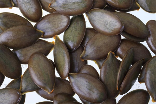 Pumpkin seeds from the Styrian Oil Pumpkin