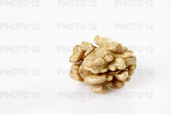 Walnut (Juglans regia)