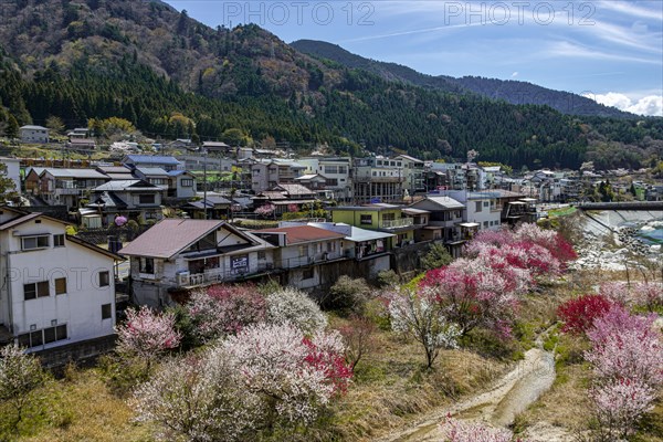 View to Nagiso