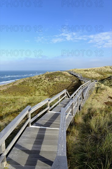 The boardwalk leads through the dunes to the beach of Wenningstedt