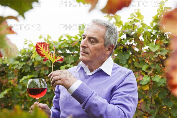 Winemaker or vintner holding a glass of wine in his vineyard