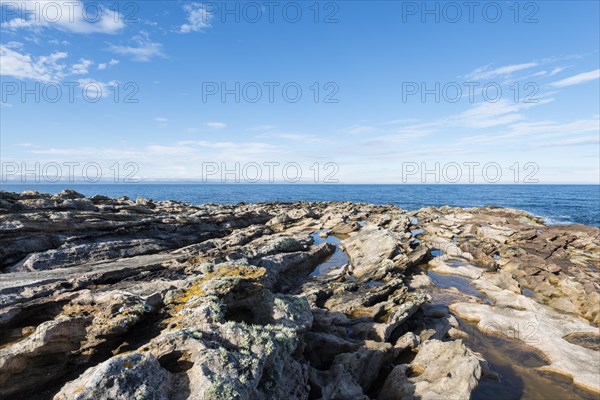 Rugged coastline with eroded sandstone on the Moray Firth at Tarbat Ness