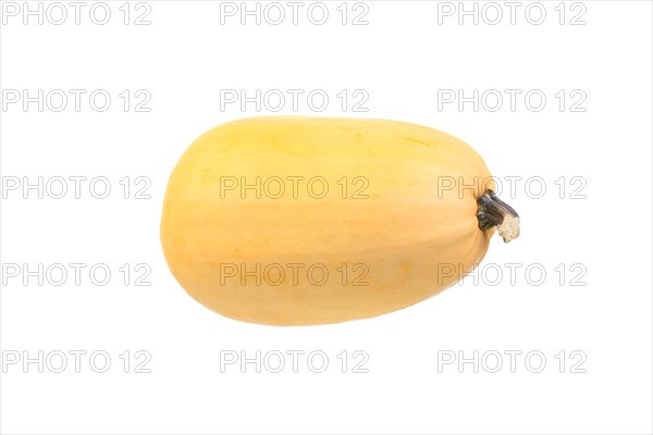 Spaghetti squash