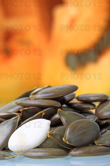 Unshelled and shelled seeds in front of pulp from the Styrian Oil Pumpkin