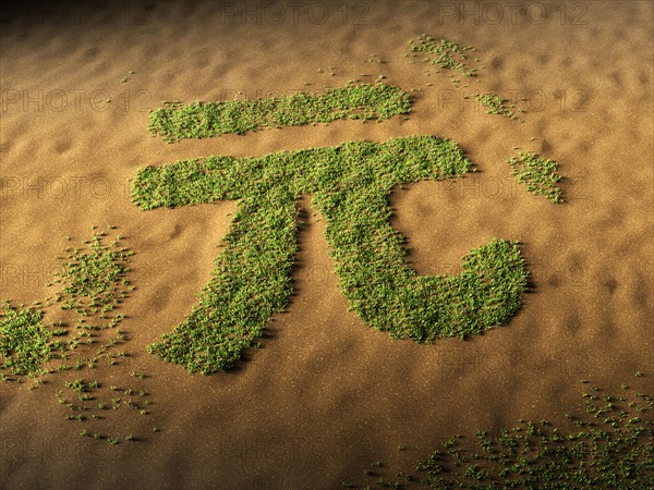 Chinese currency symbol made of grass in the desert