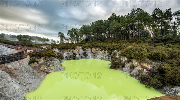 Green Devil's Bath thermal lake in Wai-O-Tapu thermal area