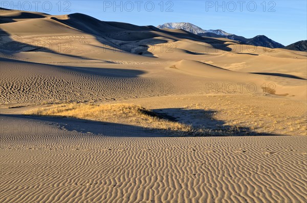 Great Sand Dunes National Park in the evening light