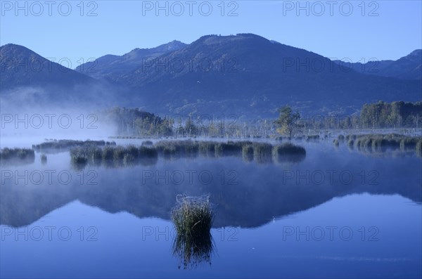 Morning mist over moorland