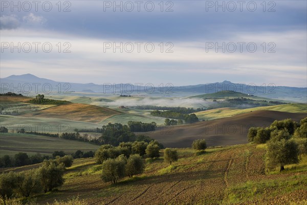Landscape with hills
