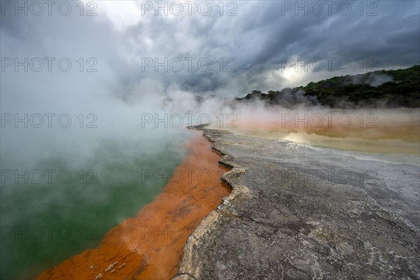 Champagne Pool