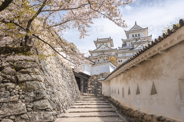 Weir walk at a wall of the castle Himeji