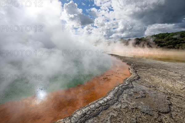 Champagne Pool