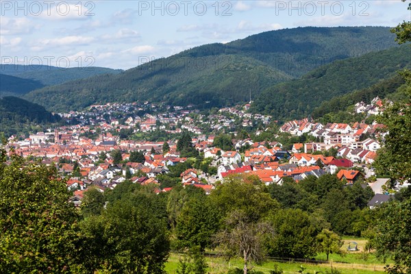View of Eberbach